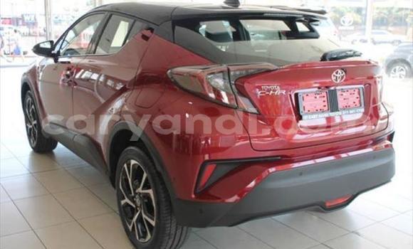 Nunua Ilio tumika Toyota C-HR Nyekundu Gari ndani ya Lusaka nchini Zambia Nunua Ilio tumika Toyota C-HR Nyekundu Gari ndani ya Lusaka nchini Zambia