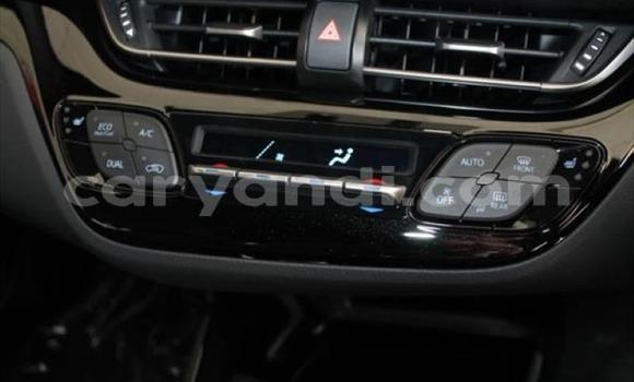 Nunua Ilio tumika Toyota C-HR Nyekundu Gari ndani ya Lusaka nchini Zambia Nunua Ilio tumika Toyota C-HR Nyekundu Gari ndani ya Lusaka nchini Zambia