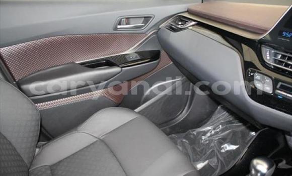 Nunua Ilio tumika Toyota C-HR Nyekundu Gari ndani ya Lusaka nchini Zambia Nunua Ilio tumika Toyota C-HR Nyekundu Gari ndani ya Lusaka nchini Zambia