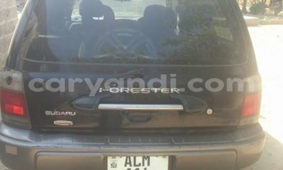 Buy Used Subaru Outback Black Car in Chipata in Zambia