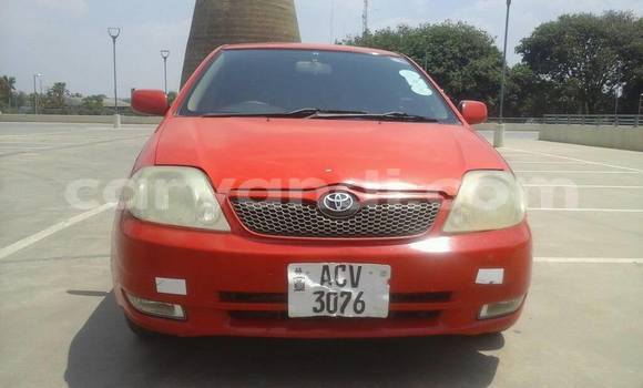 Tenga Tsaru Toyota Runx Nhema Mota in Chipata in Zambia Tenga Tsaru Toyota Runx Nhema Mota in Chipata in Zambia