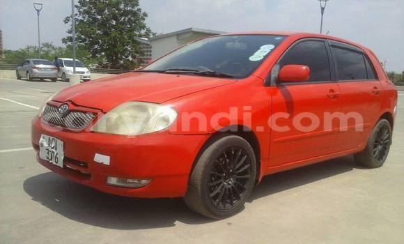 Tenga Tsaru Toyota Runx Nhema Mota in Chipata in Zambia Tenga Tsaru Toyota Runx Nhema Mota in Chipata in Zambia