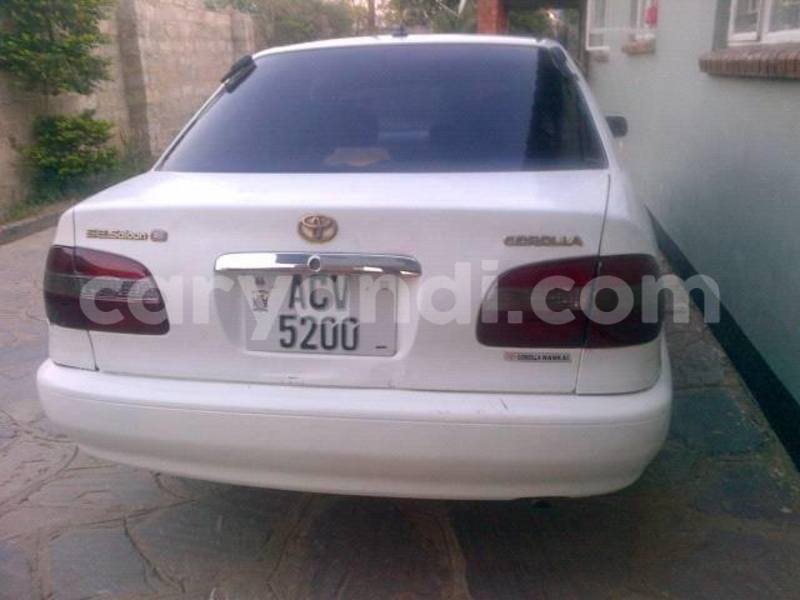 Big with watermark 14695326 1276538865723864 3907257530309395993 n