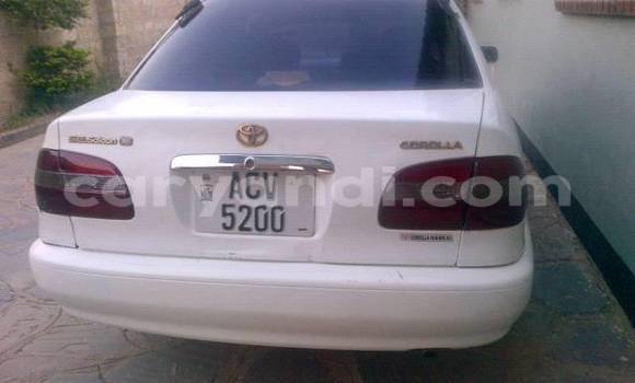 Buy Used Toyota Corolla Black Car in Chipata in Zambia Buy Used Toyota Corolla Black Car in Chipata in Zambia