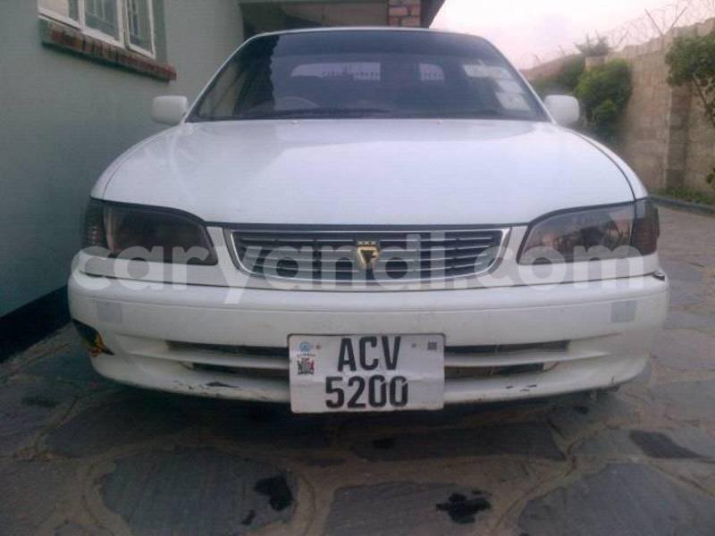 Big with watermark 14572839 1276538899057194 7605807282165903254 n