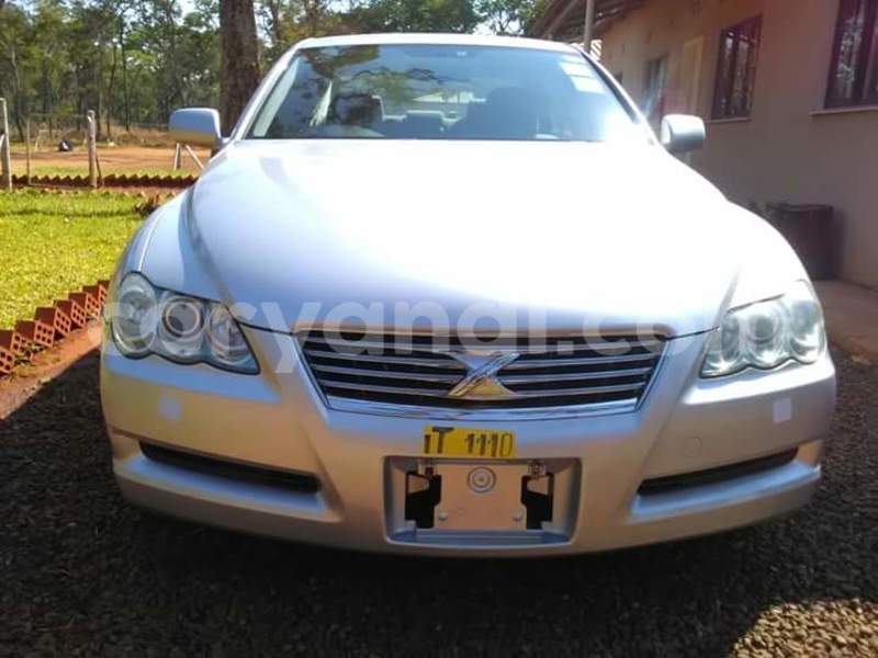 Big with watermark 14572839 1276538899057194 7605807282165903254 n