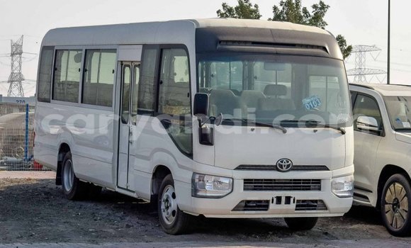 Buy Import Toyota Coaster White Car in Import - Dubai in Zambia Buy Import Toyota Coaster White Car in Import - Dubai in Zambia