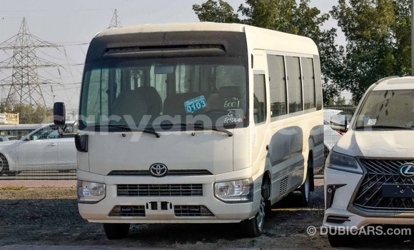 Buy Import Toyota Coaster White Car in Import - Dubai in Zambia Buy Import Toyota Coaster White Car in Import - Dubai in Zambia