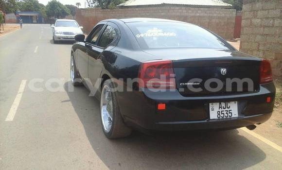 Buy Used Dodge Charger Black Car in Chipata in Zambia