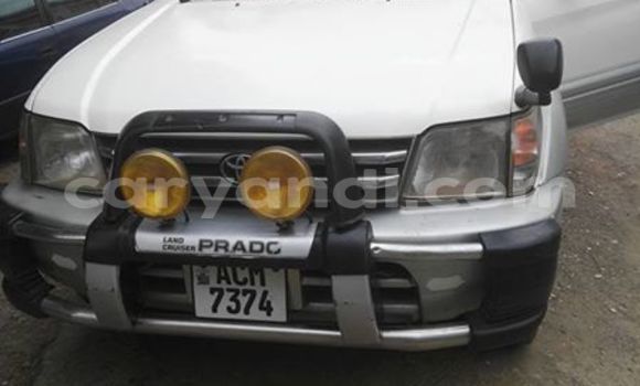 Tenga Tsaru Toyota Prado Nhema Mota in Chipata in Zambia Tenga Tsaru Toyota Prado Nhema Mota in Chipata in Zambia