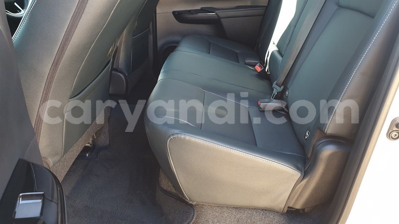 Big with watermark 11