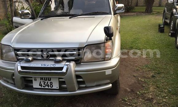 Nunua Ilio tumika Toyota Land Cruiser Prado Fedha Gari ndani ya Chipata nchini Zambia Nunua Ilio tumika Toyota Land Cruiser Prado Fedha Gari ndani ya Chipata nchini Zambia