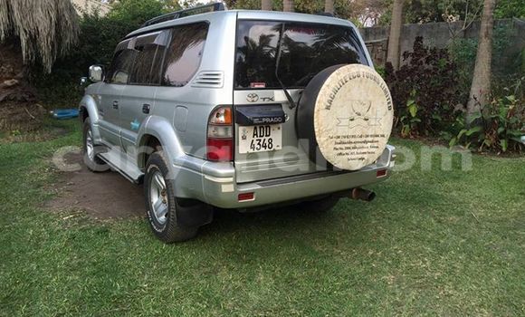 Nunua Ilio tumika Toyota Land Cruiser Prado Fedha Gari ndani ya Chipata nchini Zambia Nunua Ilio tumika Toyota Land Cruiser Prado Fedha Gari ndani ya Chipata nchini Zambia