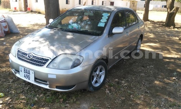 Buy Used Toyota Corolla Black Car in Lusaka in Zambia Buy Used Toyota Corolla Black Car in Lusaka in Zambia