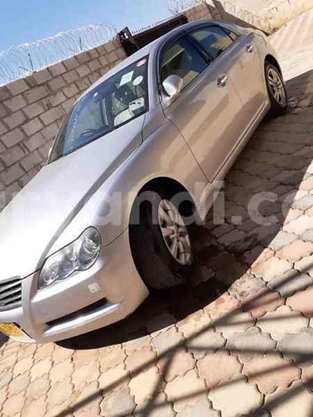 Big with watermark 64468466 358864061483821 8851904722060181504 n