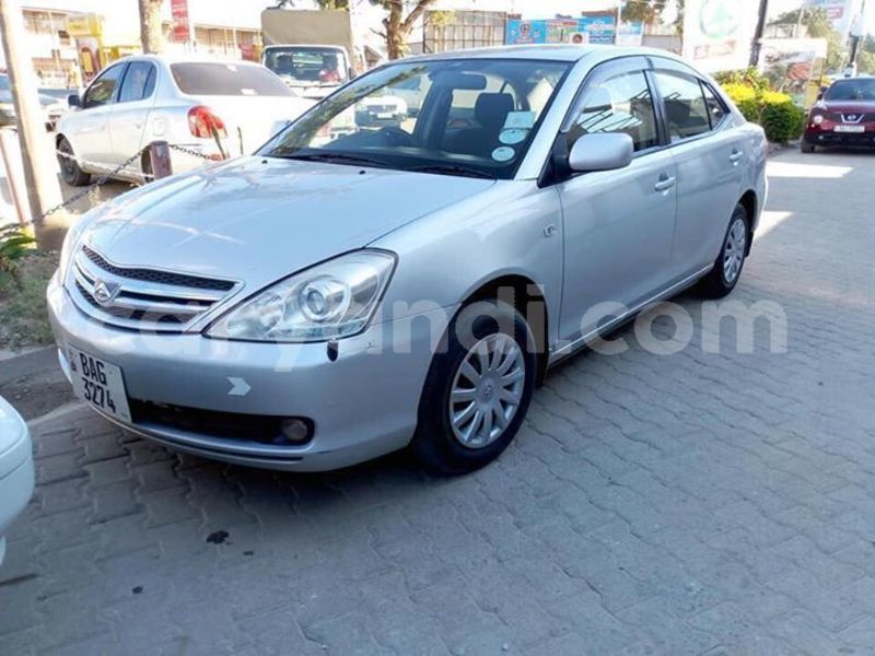 Big with watermark 61358911 352224835481077 6939407518032461824 n