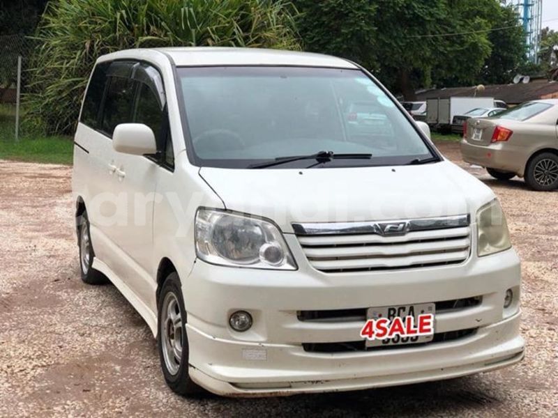 Big with watermark 61894718 351884965515064 2844621045606907904 n