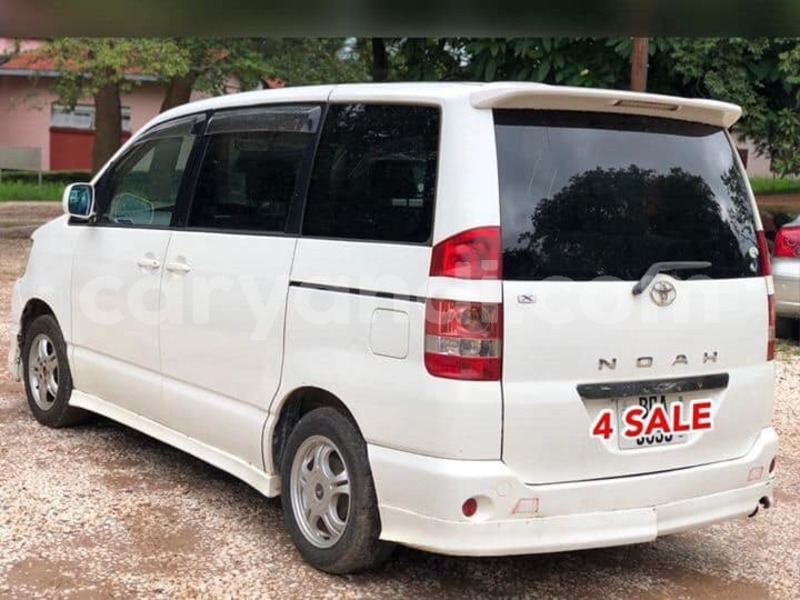 Big with watermark 61520633 351884928848401 4062406731160879104 n