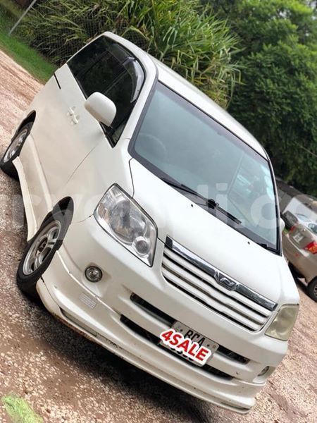 Big with watermark 61818759 351884815515079 7839454091418796032 n