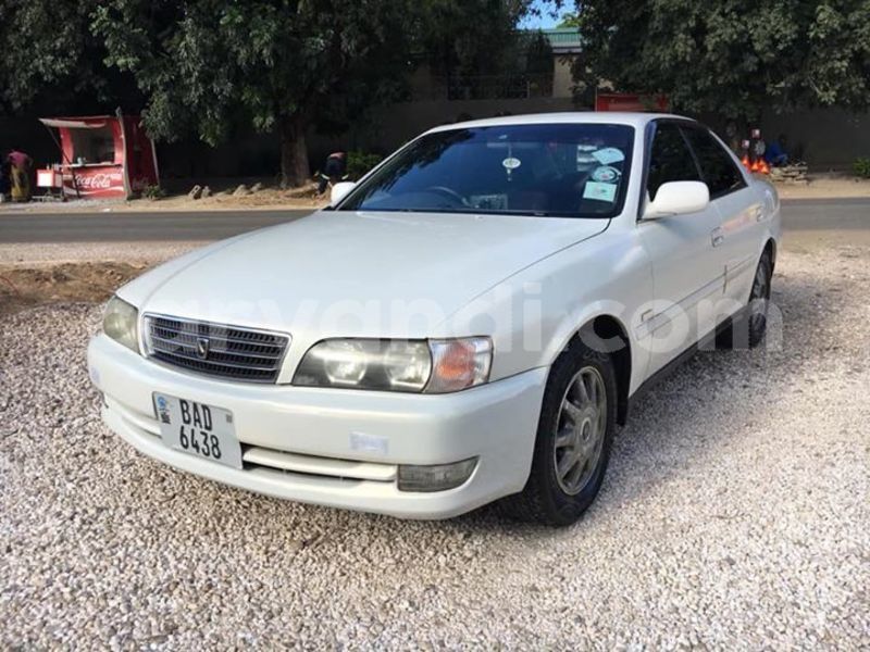 Big with watermark 59203911 340085693361658 5529273478768754688 n