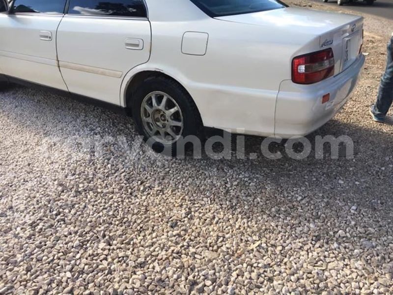 Big with watermark 59455177 340085726694988 668022402717843456 n