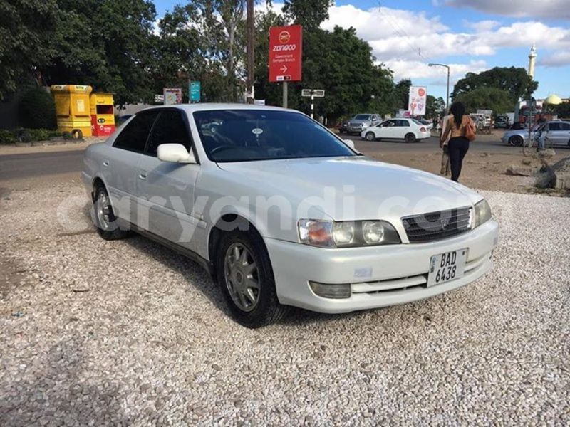 Big with watermark 59794492 340085713361656 6035012943093956608 n