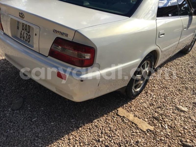 Big with watermark 59458415 340085680028326 1786616312491933696 n