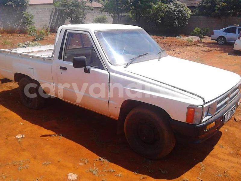 Big with watermark 14937420 10210899464142563 5142262507148257599 n