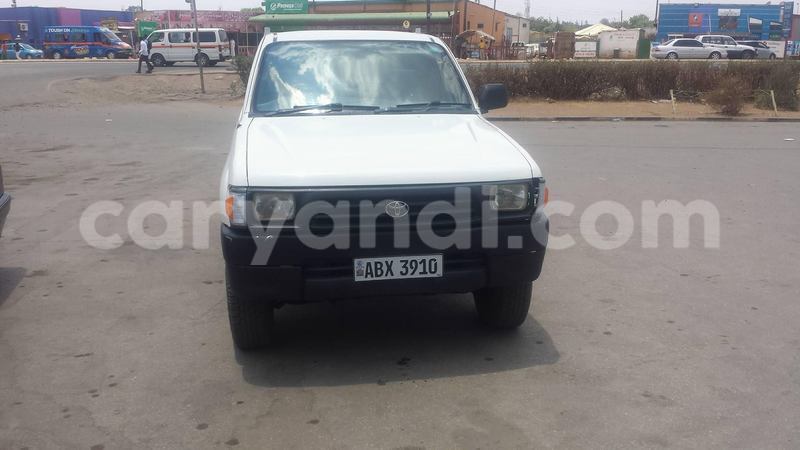 Big with watermark 14695326 1276538865723864 3907257530309395993 n