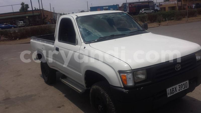 Big with watermark 14572839 1276538899057194 7605807282165903254 n