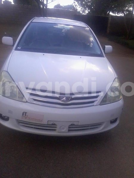 Big with watermark 14572839 1276538899057194 7605807282165903254 n