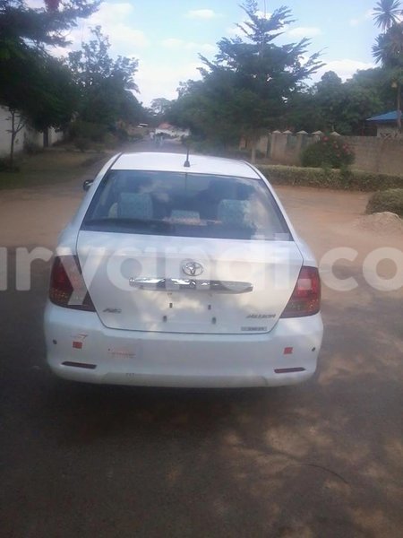 Big with watermark 14695326 1276538865723864 3907257530309395993 n