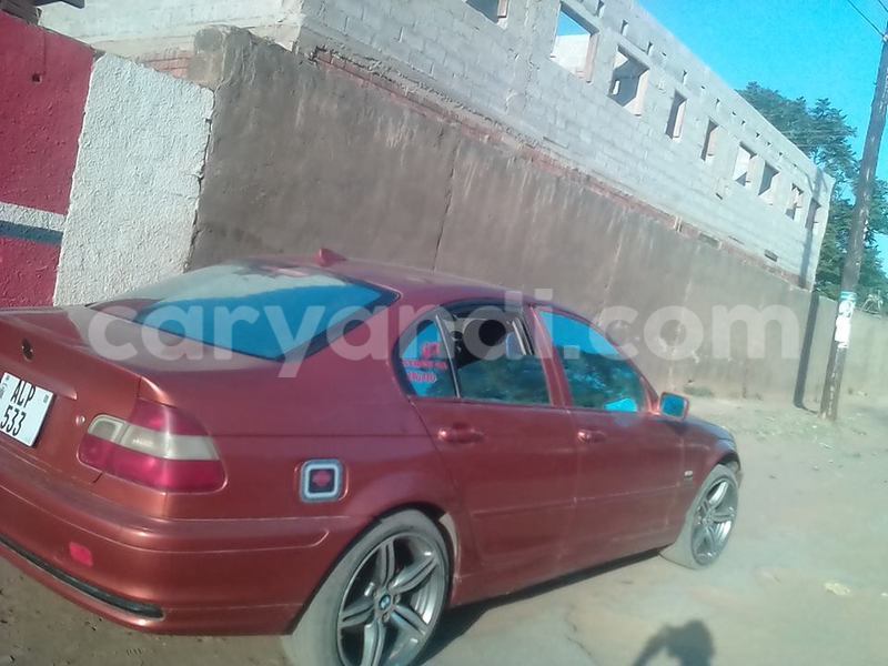 Big with watermark 14572839 1276538899057194 7605807282165903254 n