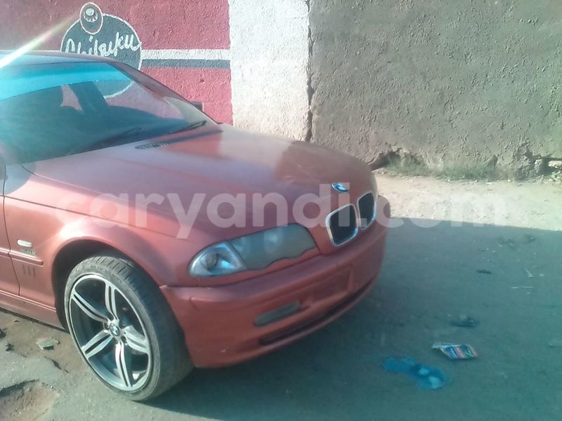 Big with watermark 14695326 1276538865723864 3907257530309395993 n