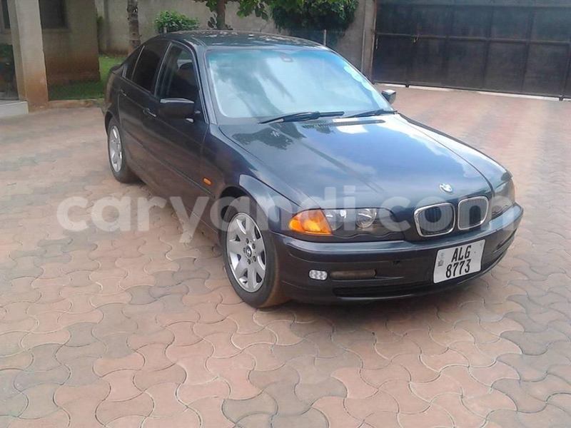 Big with watermark 14572839 1276538899057194 7605807282165903254 n