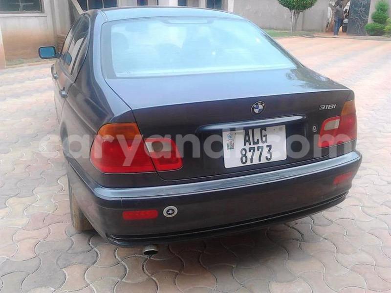 Big with watermark 14937420 10210899464142563 5142262507148257599 n