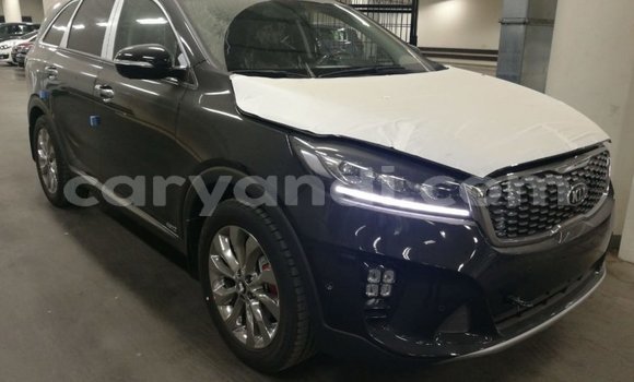 Buy Import Kia Sorento Brown Car in Import - Dubai in Zambia Buy Import Kia Sorento Brown Car in Import - Dubai in Zambia