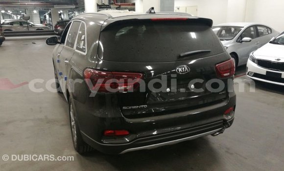 Buy Import Kia Sorento Brown Car in Import - Dubai in Zambia Buy Import Kia Sorento Brown Car in Import - Dubai in Zambia