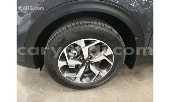 Buy Import Kia Sportage Other Car in Import - Dubai in Zambia Buy Import Kia Sportage Other Car in Import - Dubai in Zambia