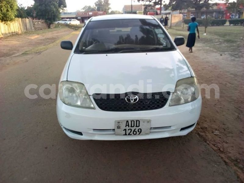 Big with watermark 64475804 2322645908055302 6026022300938141696 o