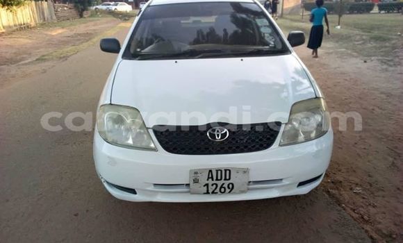 Buy Used Toyota Corolla White Car in Lusaka in Zambia Buy Used Toyota Corolla White Car in Lusaka in Zambia