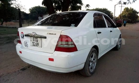 Buy Used Toyota Corolla White Car in Lusaka in Zambia Buy Used Toyota Corolla White Car in Lusaka in Zambia