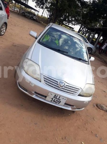 Big with watermark 61109472 2310184425968117 785655651375251456 n