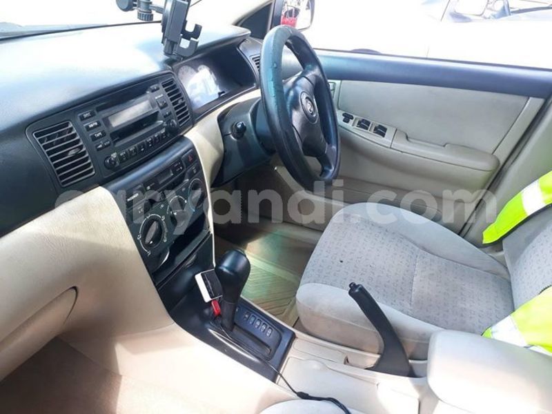 Big with watermark 61141835 2310184122634814 4254467631299428352 o