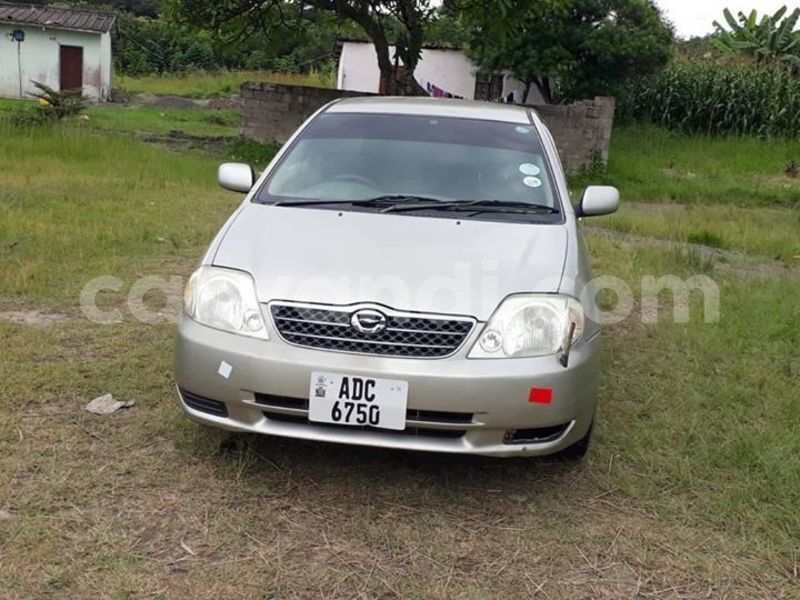 Big with watermark 57453572 2285119095141317 4316720613864505344 o