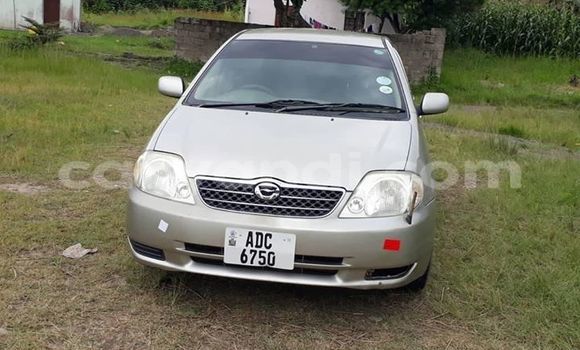 Buy Used Toyota Corolla Silver Car in Lusaka in Zambia Buy Used Toyota Corolla Silver Car in Lusaka in Zambia