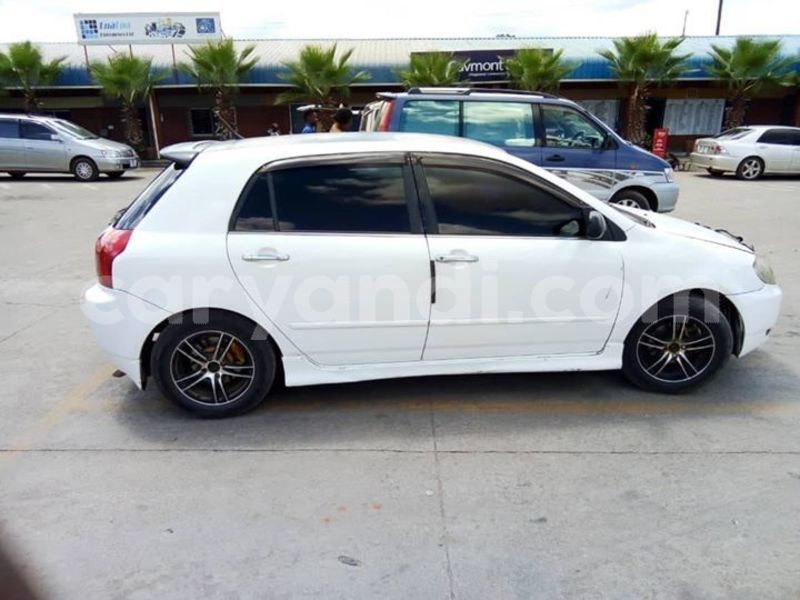 Big with watermark 56857508 2278395365813690 2480467815304265728 o