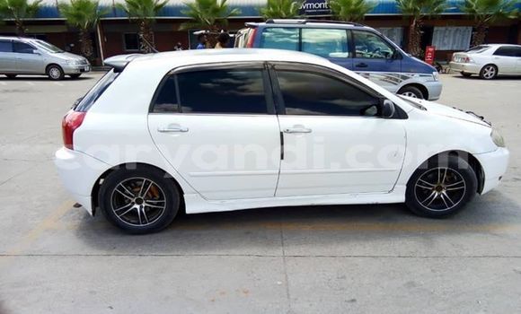 Buy Used Toyota Allex White Car in Lusaka in Zambia Buy Used Toyota Allex White Car in Lusaka in Zambia