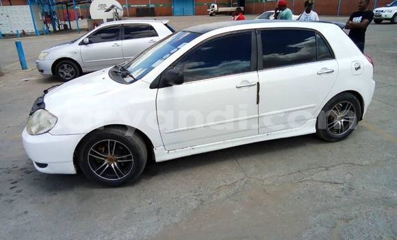 Buy Used Toyota Allex White Car in Lusaka in Zambia Buy Used Toyota Allex White Car in Lusaka in Zambia