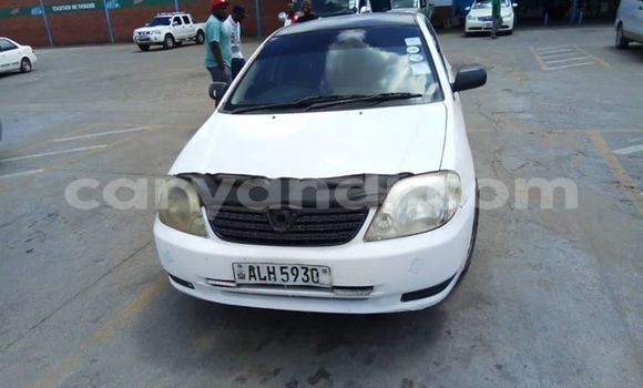 Buy Used Toyota Allex White Car in Lusaka in Zambia Buy Used Toyota Allex White Car in Lusaka in Zambia